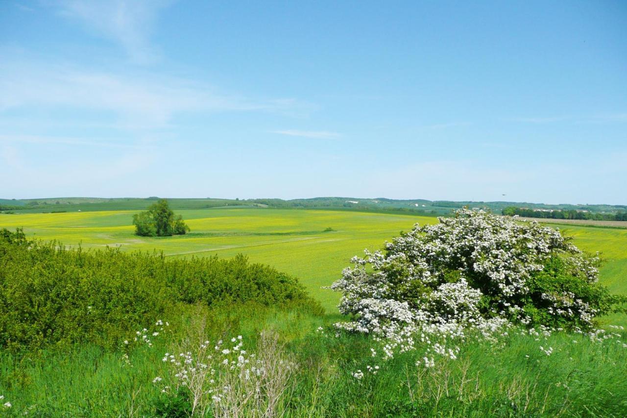 Ferienwohnung Mit Traumhaftem Meerblick - Haus Am Meer Fewo 02 Lohme Zewnętrze zdjęcie