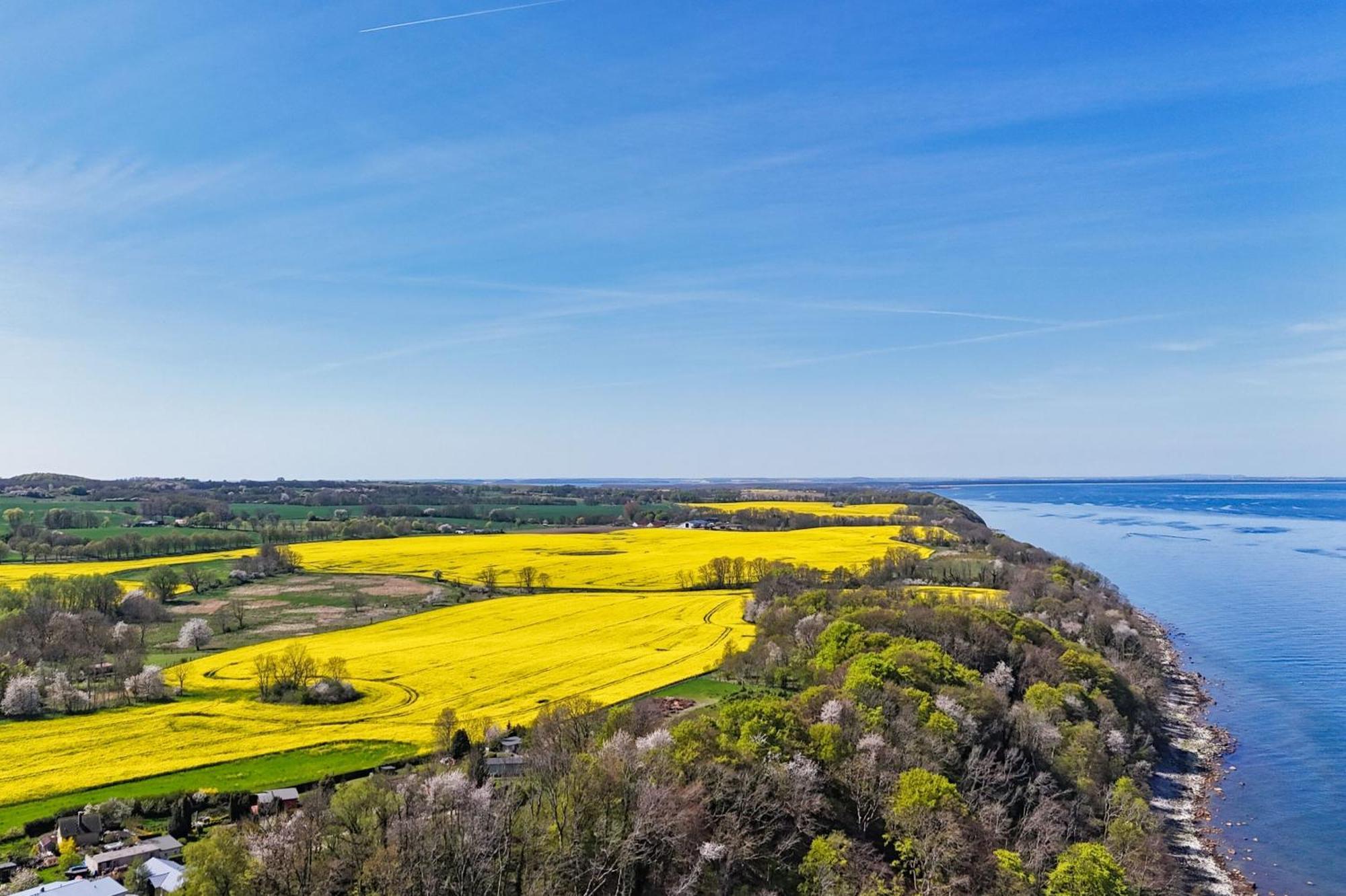 Ferienwohnung Mit Traumhaftem Meerblick - Haus Am Meer Fewo 02 Lohme Zewnętrze zdjęcie